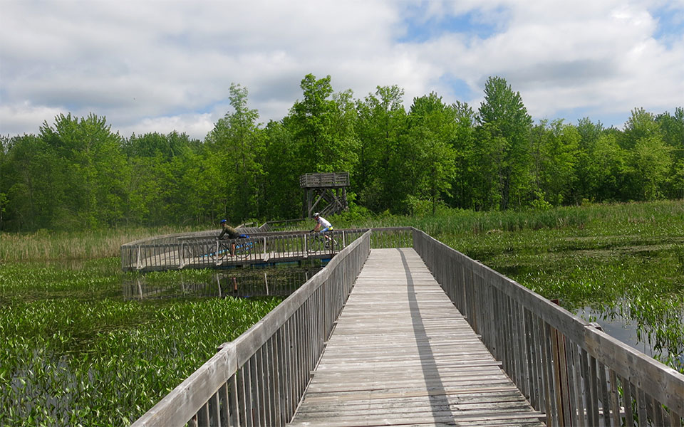 10 Parks in Quebec You Can Camp and Road Trip This Summer